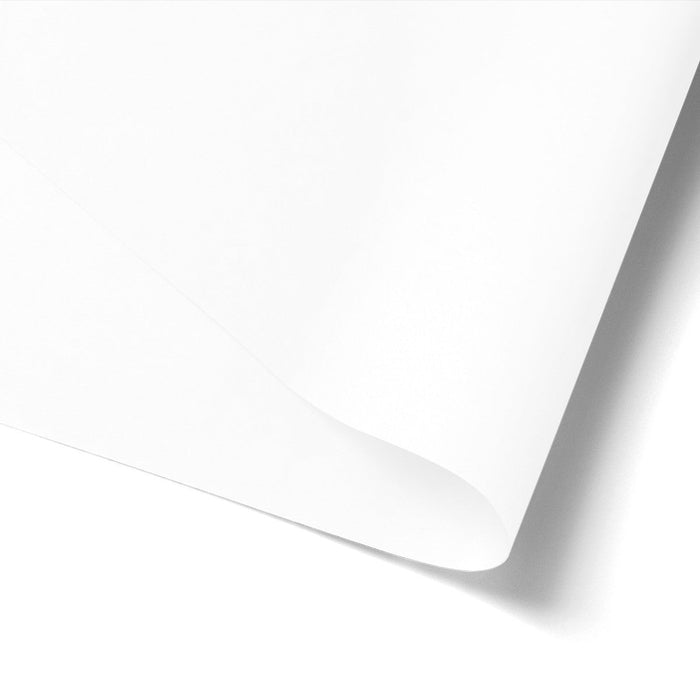 Tissue paper and ribbon