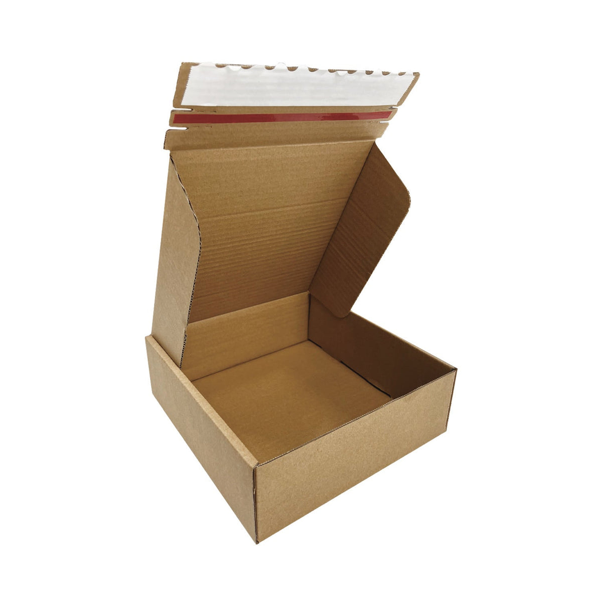 Kraft mailer box, open